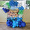 Thumbnail: Balloon Garland and Mampara