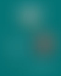 Premio JOYA 2025 | Municipalidad de Devoto, Córdoba