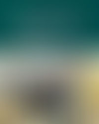 Acompañamos la transformación digital en Cañada de Gómez