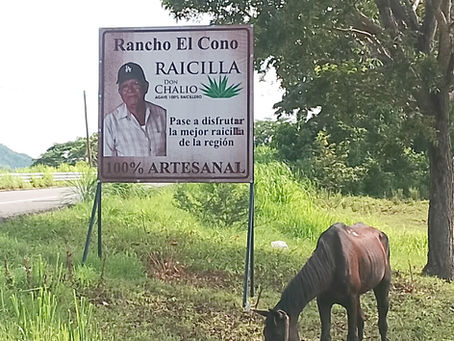 Don Chalio plantation near El Tuito, Jalisco