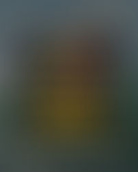 賽事成績公告|115 年全國分齡衝浪國家代表隊選拔暨2026 亞運衝浪項目儲備培訓選手資格選拔賽