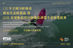 115 年全國分齡衝浪國家代表隊選拔 暨 2026 亞運衝浪項目儲備培訓選手資格選拔賽