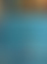 1090715 YMCA 永吉會所主辦 2020海灘守護行動