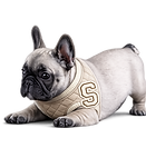 S.png