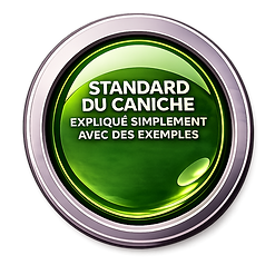 standard du caniche avec des exemples.png