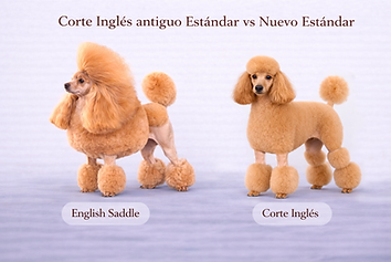 corte inglés.png