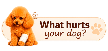 what hurts your dog.png