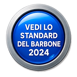 standard del barbone 2024.png