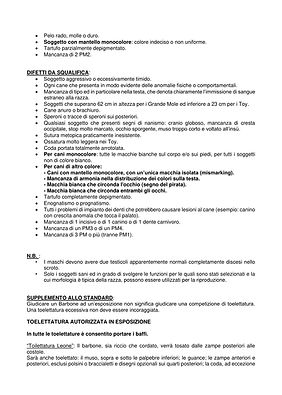 pudel_standard_it_page_05.jpg