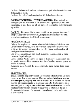 Page 3.png
