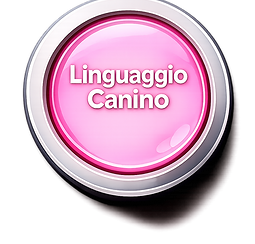 linguaggio canino.png