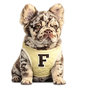 bulldog francés merle fluffy.png