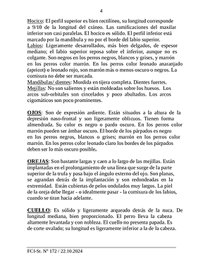 Page 4.png