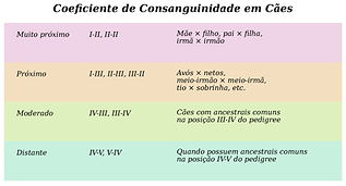 Coeficiente_Consanguinidade_Caes_PT_FINAL.png