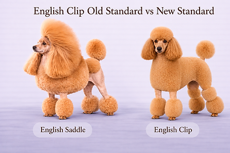 english clip old standard vs new standard.png