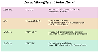 Inzuchtkoeffizient_Hund_DE.png
