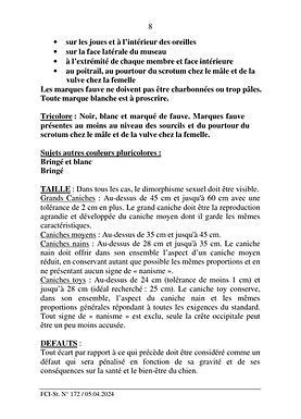 pudel_standard_fr_page_08.jpg