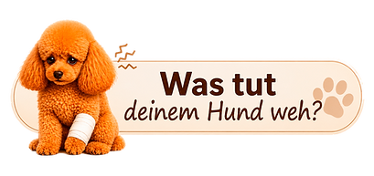 was tut deinem hund weh.png
