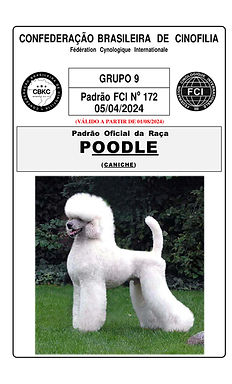 pudel_standard_pt_page_01.jpg