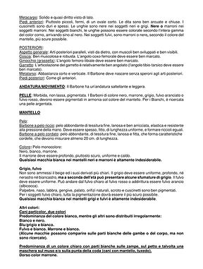 pudel_standard_it_page_03.jpg