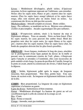 pudel_standard_fr_page_04.jpg
