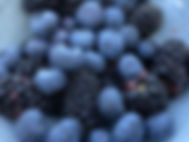 Blauw fruit Beek.jpg