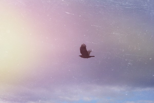 File_000 (2)
