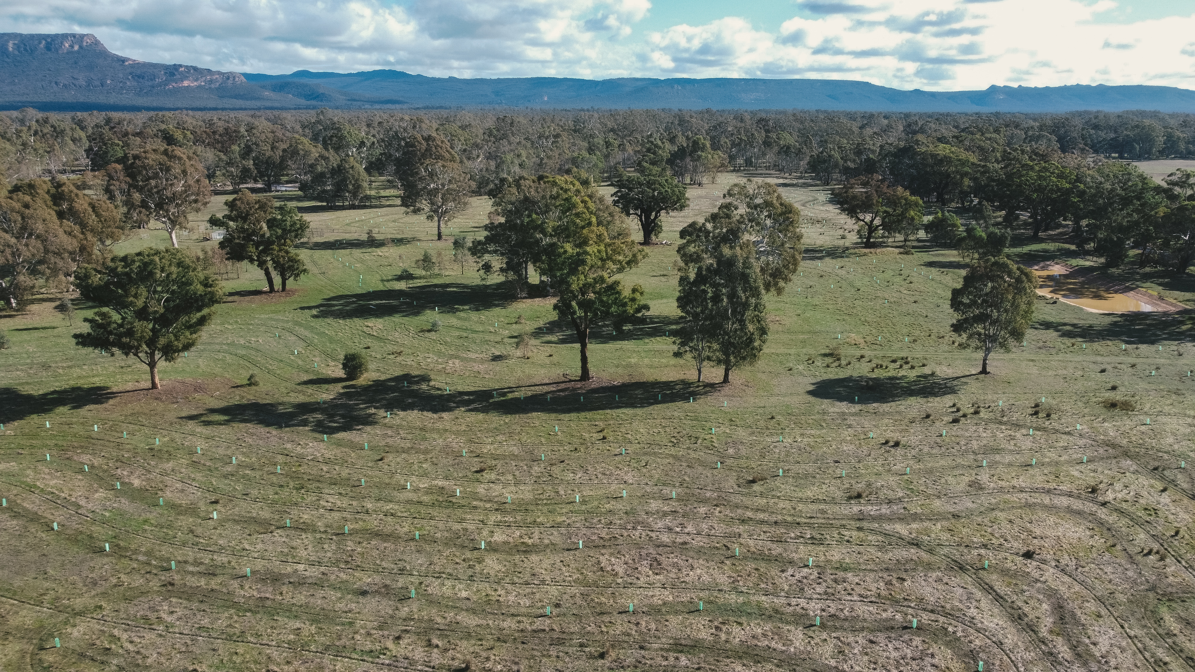 Jeff and Carolyn's Sustainable Forest, Ledcourt, Victoria