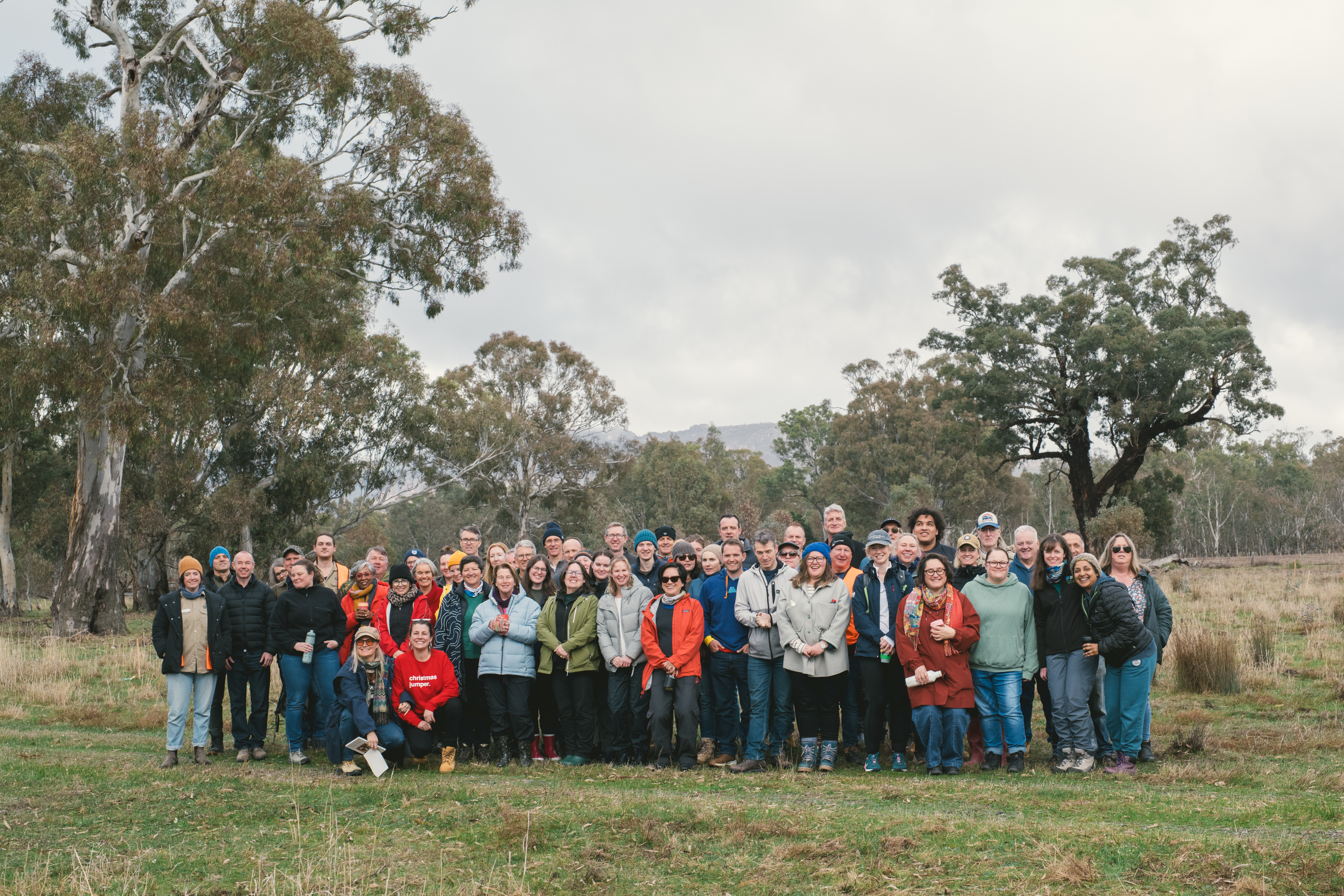 Tree planting day