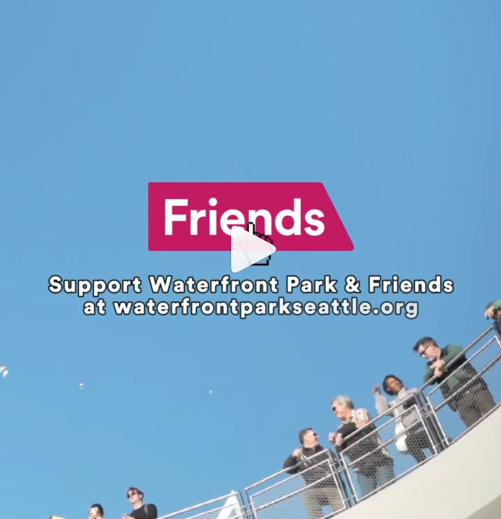 Non-profit Fundraising Promo Reel