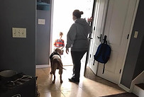 Lansing Dog Training