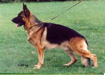 Натц ф. Штайгерхоф