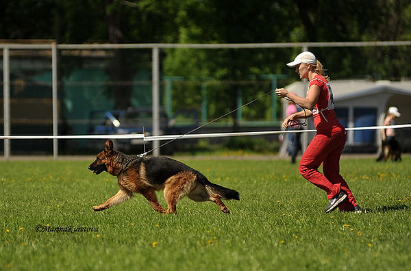 Бежим по рингу
