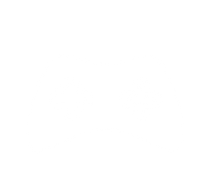 New Project (1).png