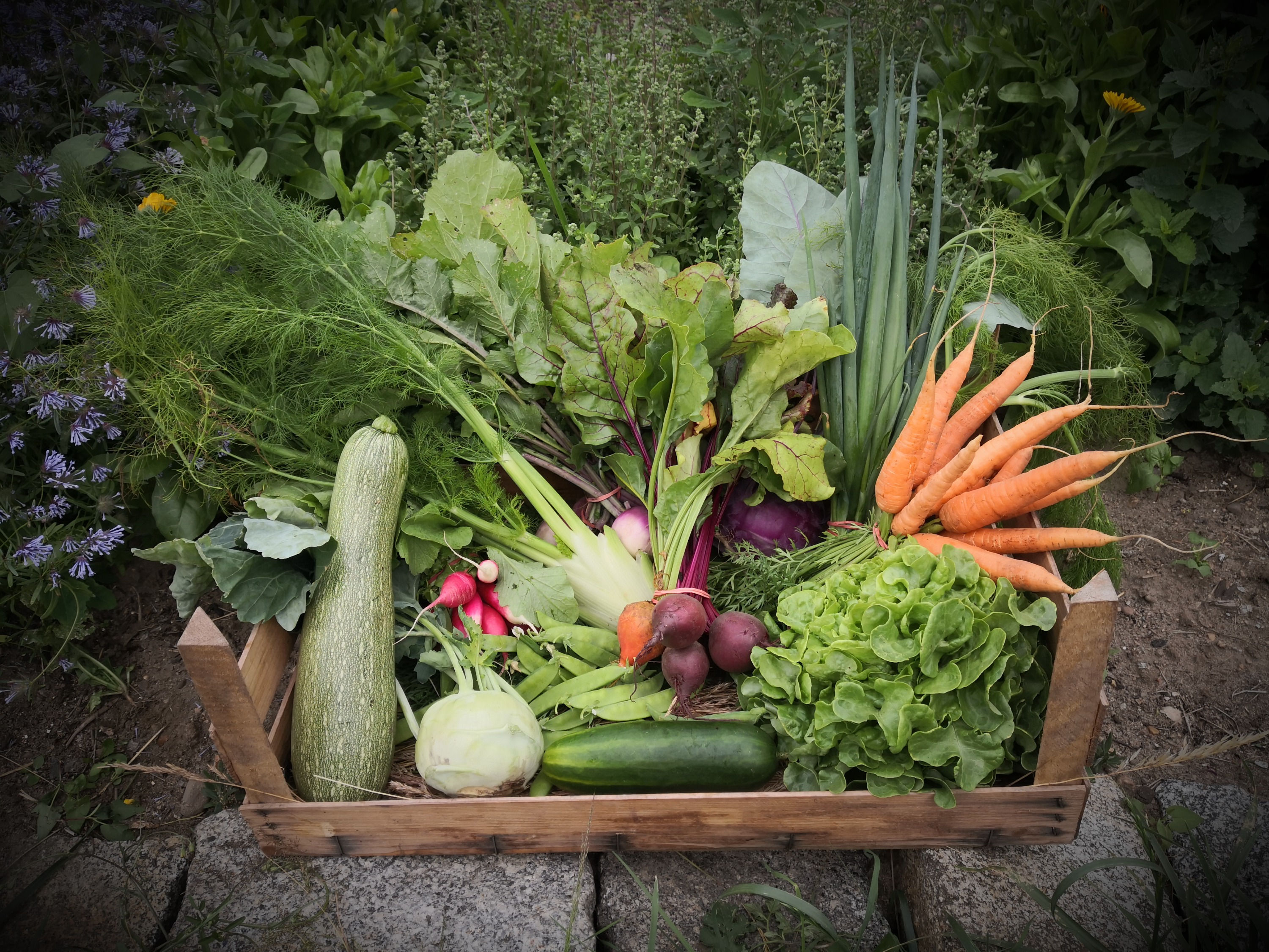 Warteliste - Die Vielfaltskiste (im Abo) - Unser Klassiker