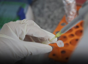 Vacina brasileira contra dependência química concorre a prêmio internacional