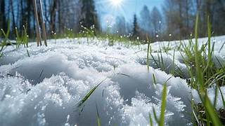 Awaken your Light: A 5-Day Journey to Blossom into Spring