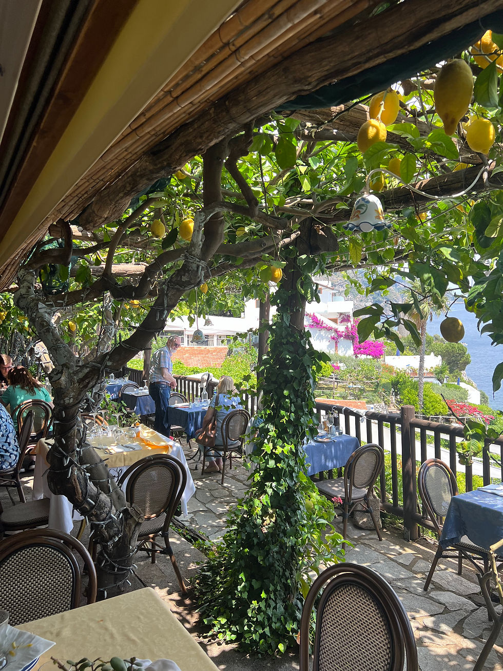 7403 Lemon Tree Amalfi.jpeg