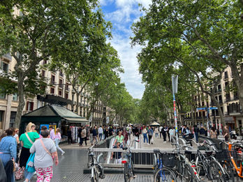 La Rambla, bustling main artery of Barcelona, is a major transportation hub and a famous 1.2 km tree-lined pedestrian boulevard from Plaça de Catalunya to Christopher Columbus monument at the seafront. It features cafes, tapas restaurants, street vendors and performers.