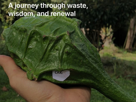 Food Waste
