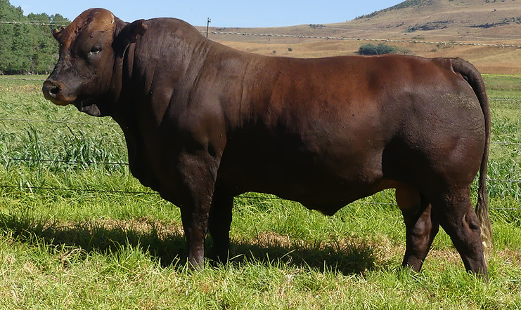 LOT 59 LAR23-028.JPG