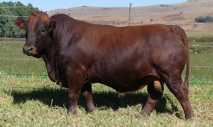 Lot 74 LAR22-406.JPG