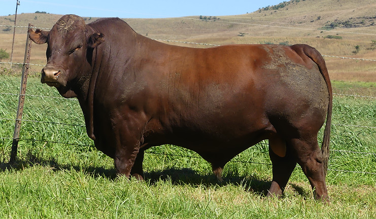 LOT 16 LAR23-076.JPG