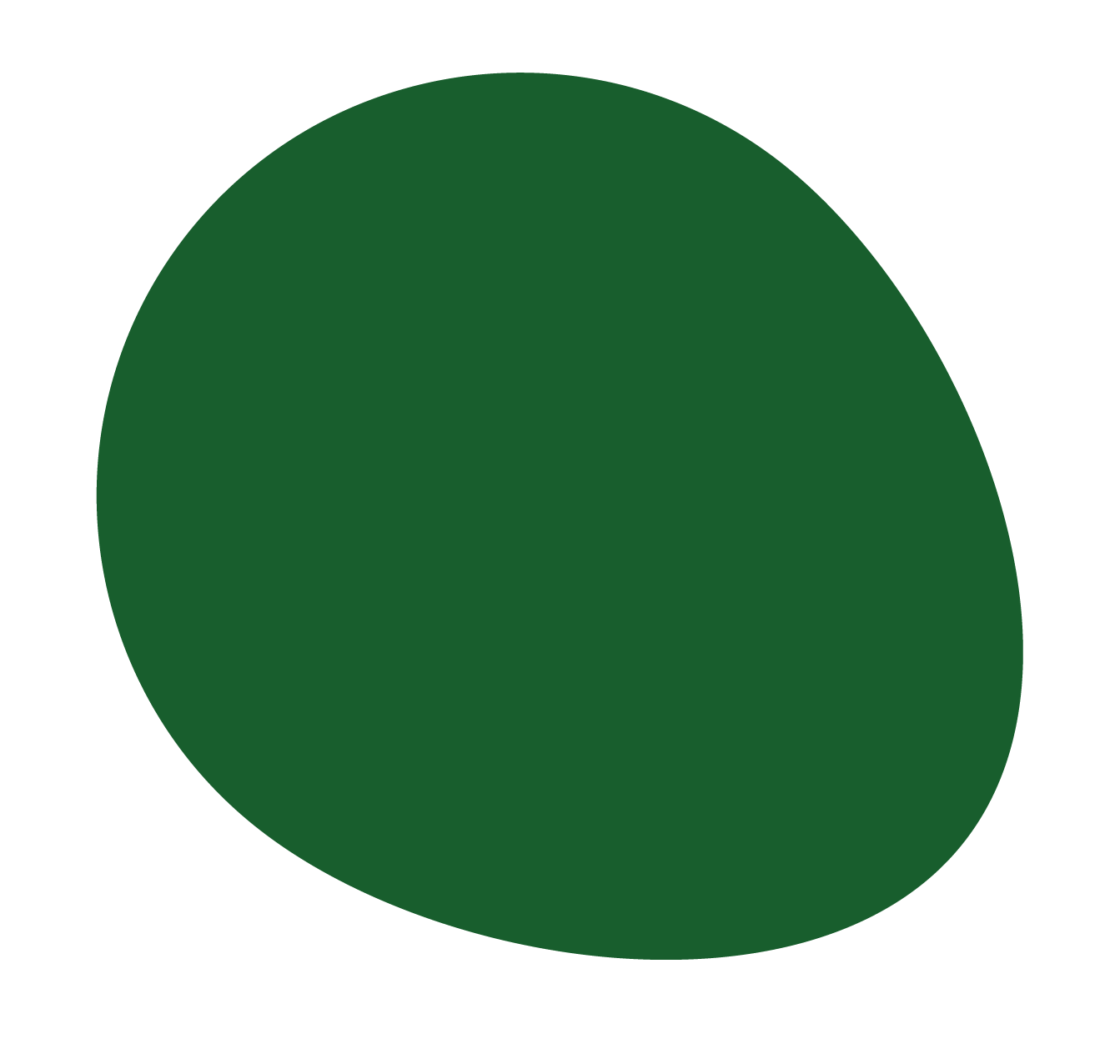 Bolitas-19.png