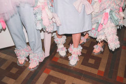 Graduate Collection