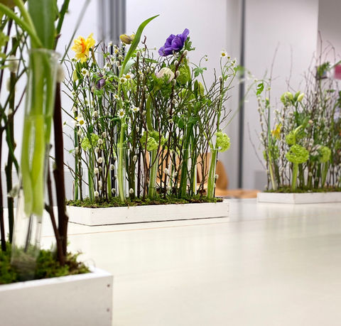 Kurs Migros Frühlingserwachen - Kopie.jpg