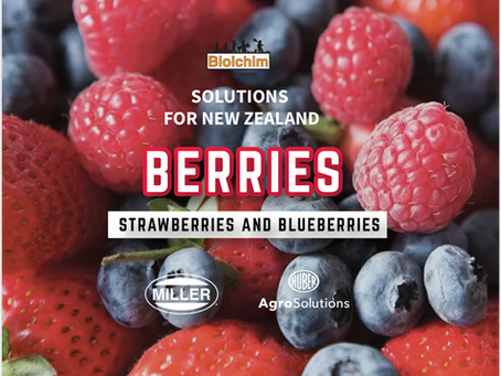 Smart Solutions for Strawberries & Blueberries in New Zealand