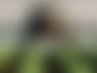 Kover Trial Shows Strong Results in Boosting Pre-Emergent Herbicide Performance