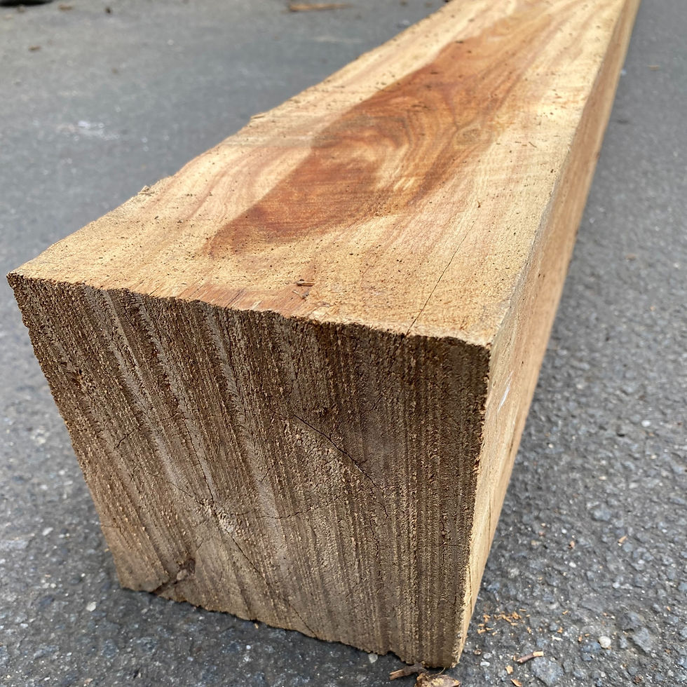 Cypress Pine Post 125x125mm F7 Drouin Mitre 10