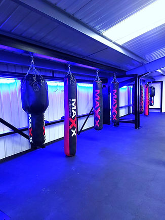 Punch bags_edited.jpg